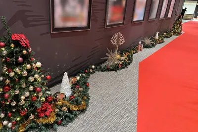 クリスマスな道